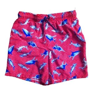 Shark Swim Shorts